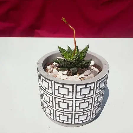 Сasa de vacaciones Maria's House Khelmáta