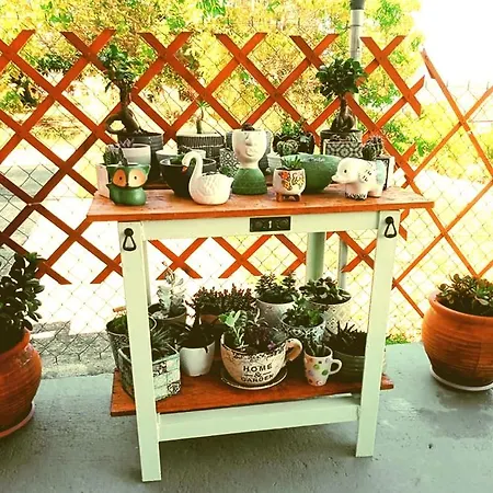 펜션 Maria's House *