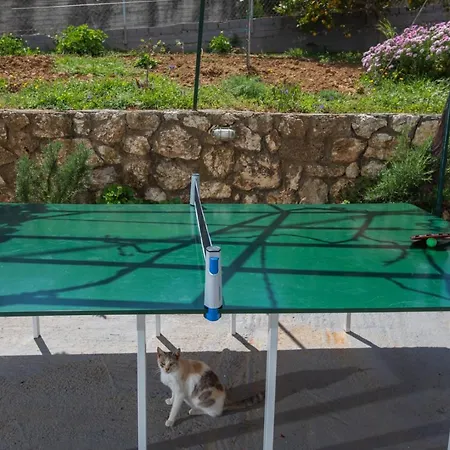 Maria's House * Khelmáta